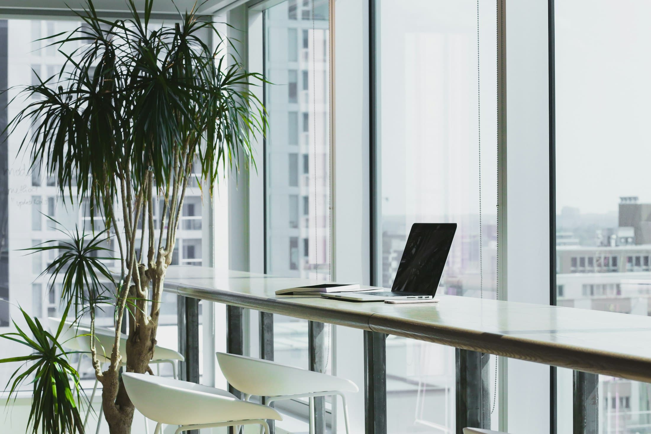 Bright office space with a long white desk by tall windows and indoor plants