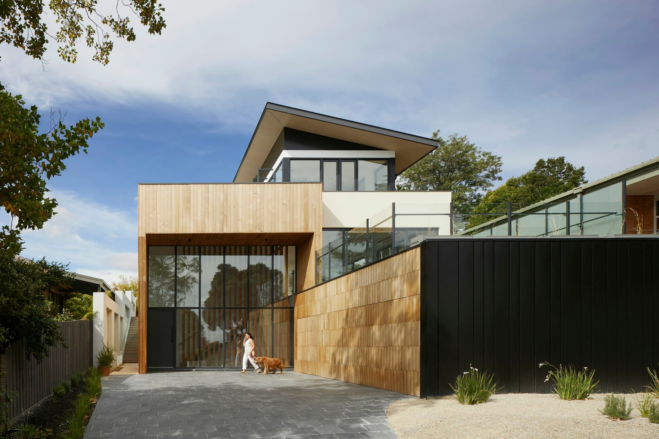 Contemporary house with timber cladding and large glazing opening onto a planted garden